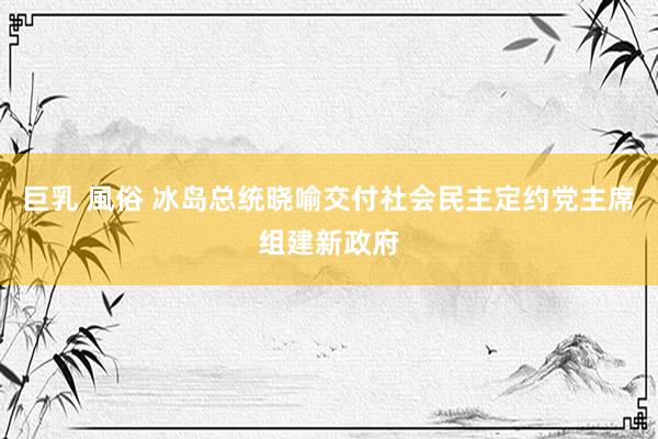 巨乳 風俗 冰岛总统晓喻交付社会民主定约党主席组建新政府