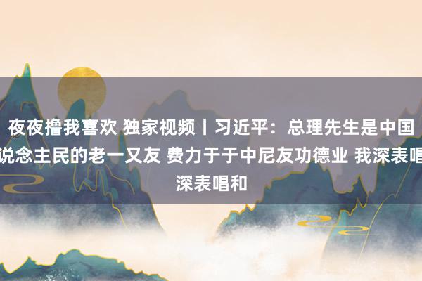 夜夜撸我喜欢 独家视频丨习近平：总理先生是中国东说念主民的老一又友 费力于于中尼友功德业 我深表唱和