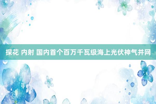 探花 内射 国内首个百万千瓦级海上光伏神气并网