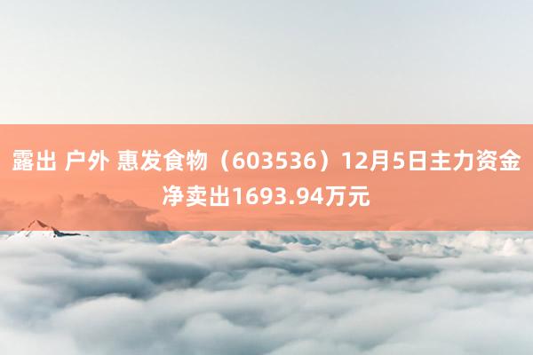 露出 户外 惠发食物（603536）12月5日主力资金净卖出1693.94万元