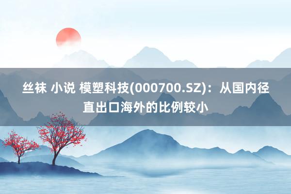 丝袜 小说 模塑科技(000700.SZ)：从国内径直出口海外的比例较小