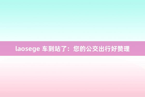 laosege 车到站了：您的公交出行好赞理