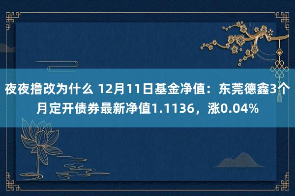 夜夜撸改为什么 12月11日基金净值：东莞德鑫3个月定开债券最新净值1.1136，涨0.04%