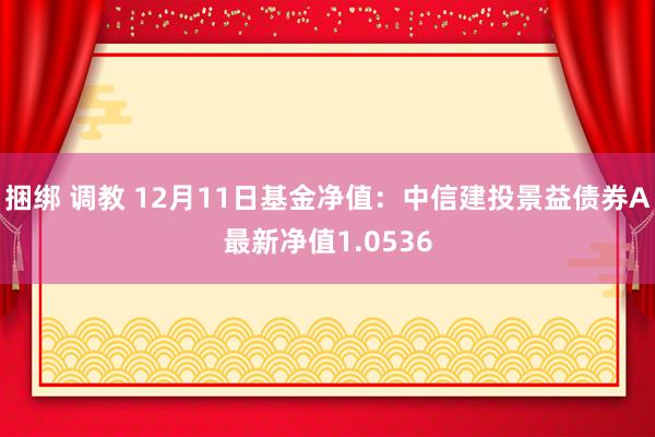 捆绑 调教 12月11日基金净值：中信建投景益债券A最新净值1.0536