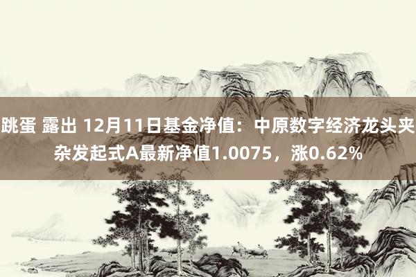 跳蛋 露出 12月11日基金净值：中原数字经济龙头夹杂发起式A最新净值1.0075，涨0.62%