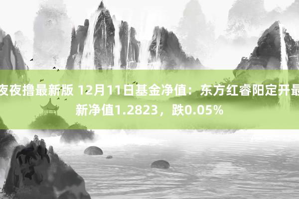 夜夜撸最新版 12月11日基金净值：东方红睿阳定开最新净值1.2823，跌0.05%