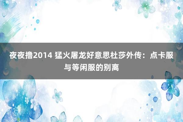 夜夜撸2014 猛火屠龙好意思杜莎外传：点卡服与等闲服的别离