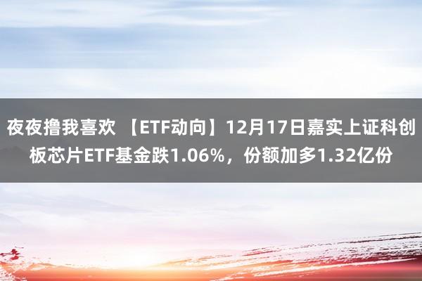 夜夜撸我喜欢 【ETF动向】12月17日嘉实上证科创板芯片ETF基金跌1.06%，份额加多1.32亿份