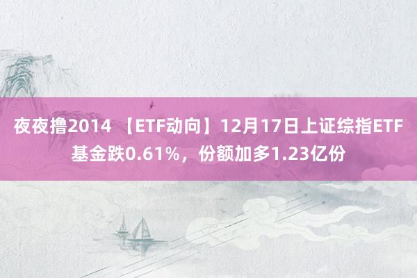 夜夜撸2014 【ETF动向】12月17日上证综指ETF基金跌0.61%，份额加多1.23亿份