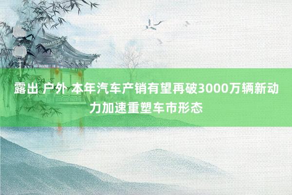 露出 户外 本年汽车产销有望再破3000万辆新动力加速重塑车市形态