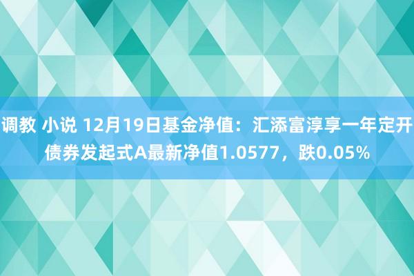 调教 小说 12月19日基金净值：汇添富淳享一年定开债券发起式A最新净值1.0577，跌0.05%