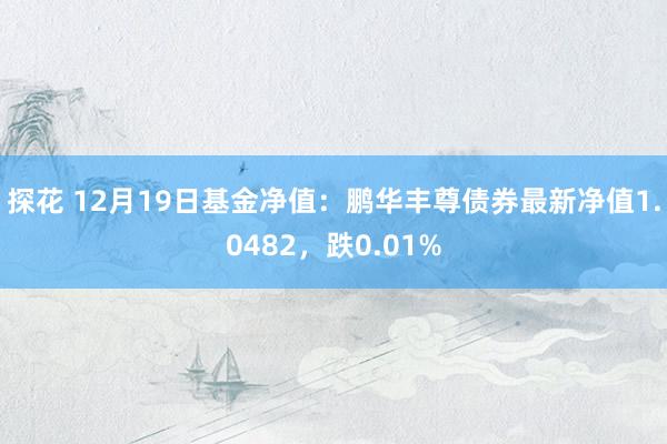 探花 12月19日基金净值：鹏华丰尊债券最新净值1.0482，跌0.01%