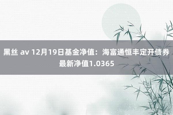 黑丝 av 12月19日基金净值：海富通恒丰定开债券最新净值1.0365