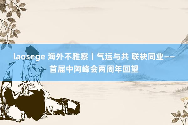 laosege 海外不雅察丨气运与共 联袂同业——首届中阿峰会两周年回望