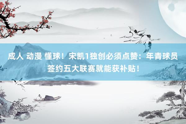 成人 动漫 懂球！宋凯1独创必须点赞：年青球员签约五大联赛就能获补贴！