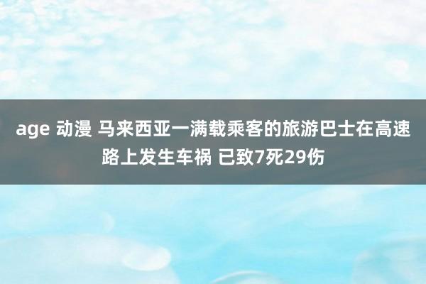 age 动漫 马来西亚一满载乘客的旅游巴士在高速路上发生车祸 已致7死29伤