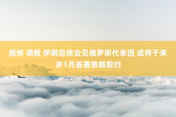 捆绑 调教 伊朗总统会见俄罗斯代表团 或将于来岁1月签署策略契约