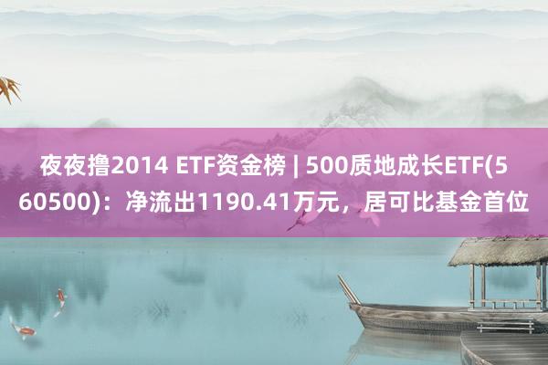 夜夜撸2014 ETF资金榜 | 500质地成长ETF(560500)：净流出1190.41万元，居可比基金首位