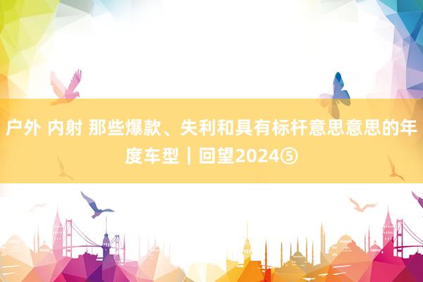 户外 内射 那些爆款、失利和具有标杆意思意思的年度车型｜回望2024⑤