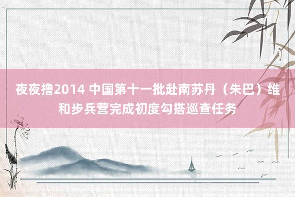 夜夜撸2014 中国第十一批赴南苏丹（朱巴）维和步兵营完成初度勾搭巡查任务