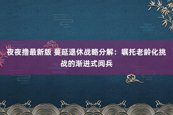 夜夜撸最新版 蔓延退休战略分解：嘱托老龄化挑战的渐进式阅兵