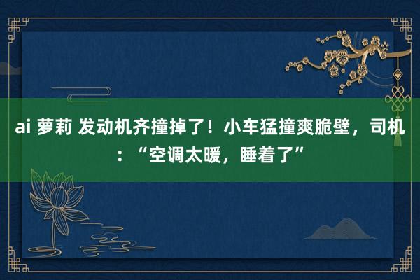 ai 萝莉 发动机齐撞掉了！小车猛撞爽脆壁，司机：“空调太暖，睡着了”