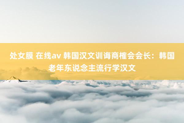 处女膜 在线av 韩国汉文训诲商榷会会长：韩国老年东说念主流行学汉文