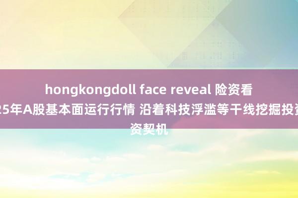 hongkongdoll face reveal 险资看好2025年A股基本面运行行情 沿着科技浮滥等干线挖掘投资契机