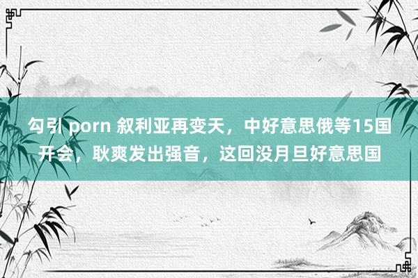 勾引 porn 叙利亚再变天，中好意思俄等15国开会，耿爽发出强音，这回没月旦好意思国