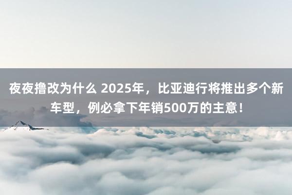 夜夜撸改为什么 2025年，比亚迪行将推出多个新车型，例必拿下年销500万的主意！