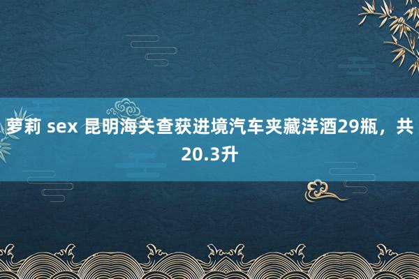 萝莉 sex 昆明海关查获进境汽车夹藏洋酒29瓶，共20.3升