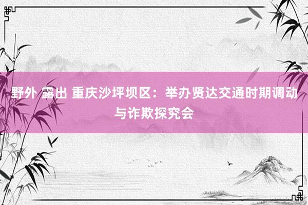 野外 露出 重庆沙坪坝区：举办贤达交通时期调动与诈欺探究会