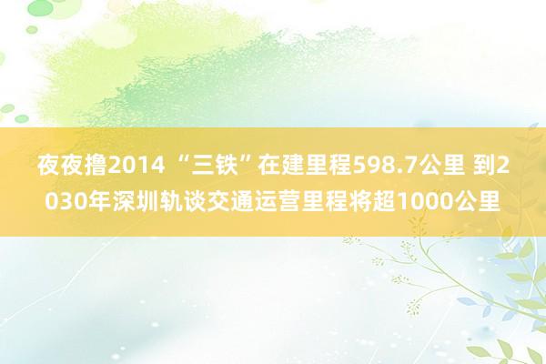 夜夜撸2014 “三铁”在建里程598.7公里 到2030年深圳轨谈交通运营里程将超1000公里