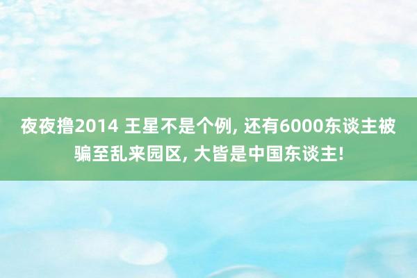 夜夜撸2014 王星不是个例， 还有6000东谈主被骗至乱来园区， 大皆是中国东谈主!