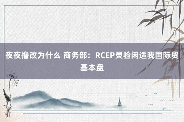 夜夜撸改为什么 商务部：RCEP灵验闲适我国际贸基本盘