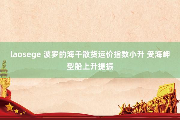 laosege 波罗的海干散货运价指数小升 受海岬型船上升提振